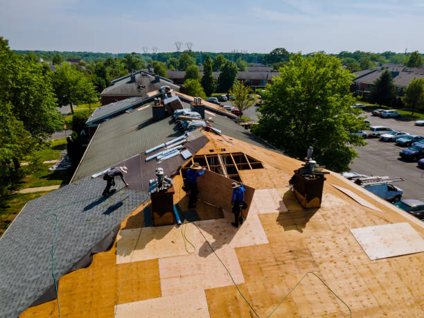 Best Emergency Roof Repair  in Concord, MI