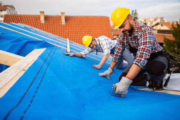 Best Roof Waterproofing Services  in Concord, MI