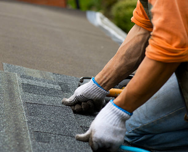 Best Metal Roofing Contractor  in Concord, MI